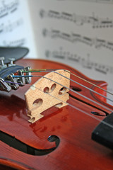 violino