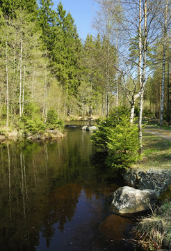 Swedish trout river in spring time