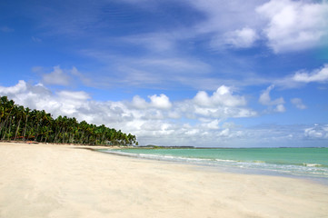 Tropical Beach with Emerald Sea