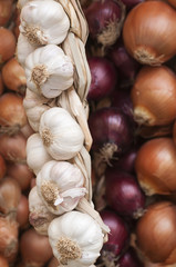 Onions and garlic of different types, sizes and colors