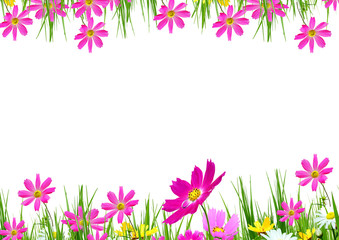 Obraz na płótnie Canvas Spring flowers and grass on a white background