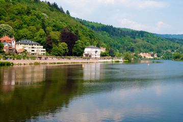 Fototapeta na wymiar Heidelberg residential and Neckar river