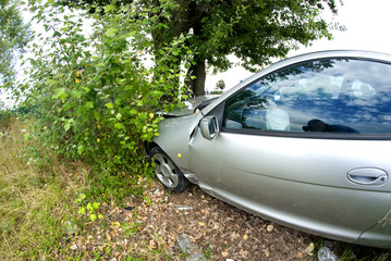 Fototapeta na wymiar Samochód na drzewie, Włochy