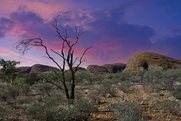 Fototapeta na wymiar Skały i roślinność na australijskiej prowincji