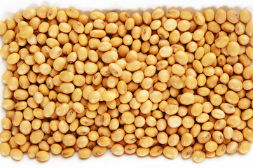 fresh soybean seed on white background