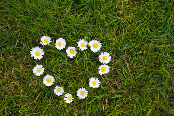 Rasen mit Herz aus Gänseblümchen © Harald Biebel