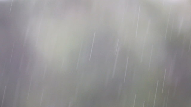 Heavy Rainfall Against Blurred Background