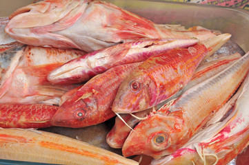 poissons de bouillabaisse