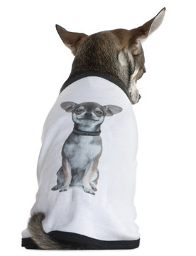 Chihuahua dressed with a t-shirt with a photo of himself,