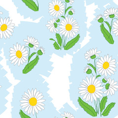 vector seamless floral light pattern with camomiles