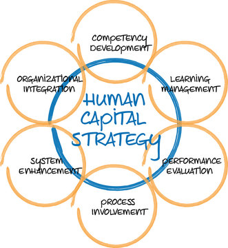 Human Capital Business Diagram