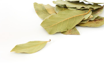 Bay leaf spice on white background