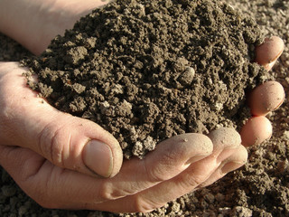 handful of soil