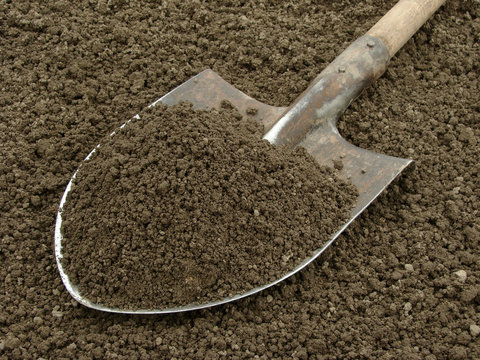 Spade With Soil