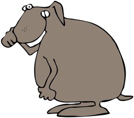 Dog Holding Its Nose