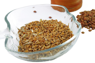 grain in the glass bowl