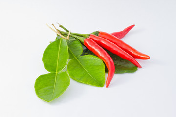 Red chilli and kaffir lime leaf