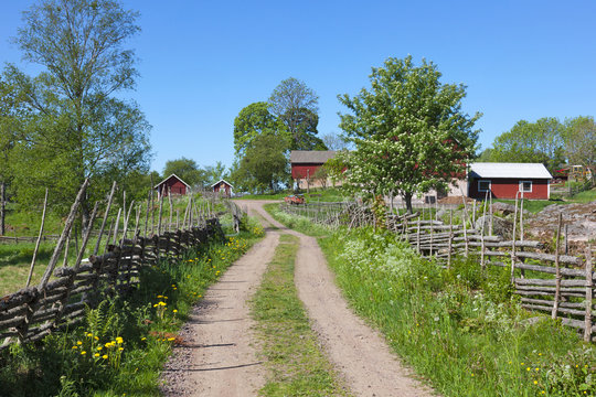 Countryside landscape