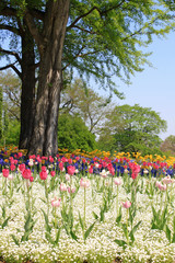 Frühling
