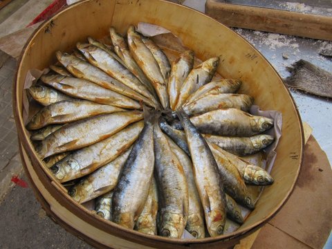 Sardinas arenques.