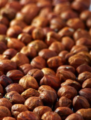 Hazelnut