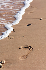 footprints on the sand