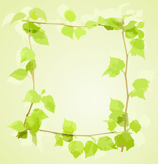 Obraz premium Green birch frame, vector illustration