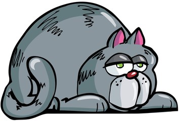 Cartoon of fat grey cat