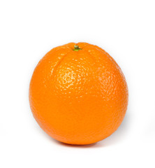 Beautiful succulent orange isolated on white ready for that next