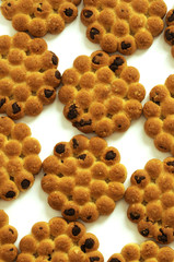 Biscotti al cioccolato