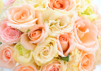 Beautiful flowers