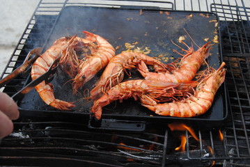 barbecues