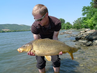 pêche de la carpe