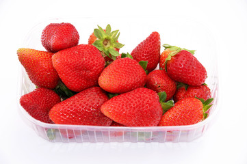 Vaschetta di fragole