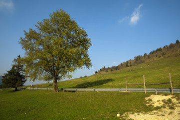 Paesaggio
