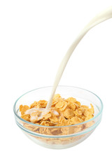 Cereal flakes breakfast