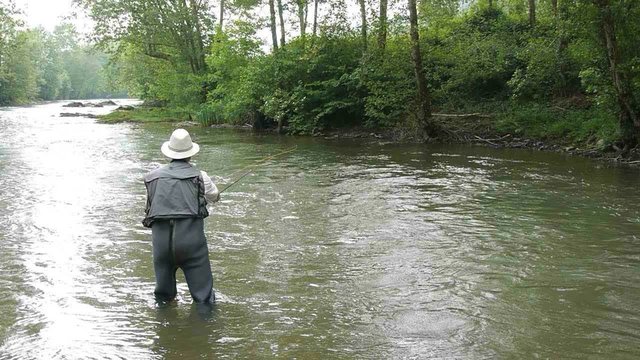 Man fishing trout in river