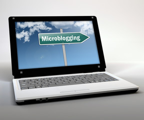 Mobile Thin Client / Netbook 