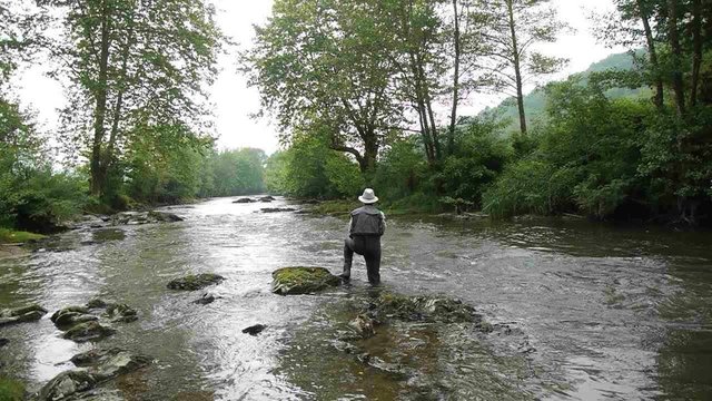 Back view of fisherman in river