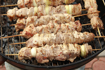 Tasty seasoned barbecue meat sticks on mangal