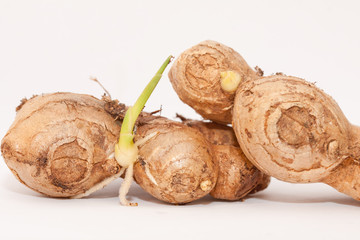 closeup shot of germinating ginger roots.