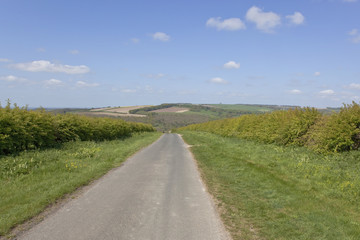 Fototapeta na wymiar english country landscape