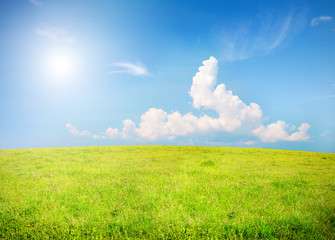 Fototapeta na wymiar green field and blue sky with white cloud