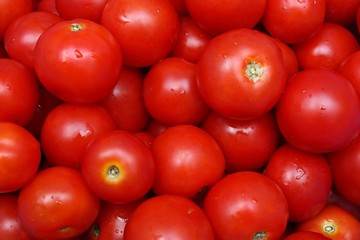 Tomatoes