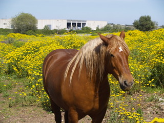 esrtsdtDIGITAL CAMERA