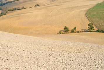 Undulating fields in Tuscany, Italy, Europe
