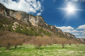 Meadow in mountain