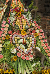 Buffet for monkey 3.