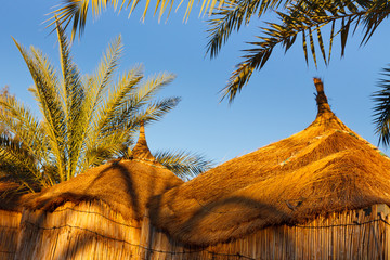 Thatched Huts in Africa