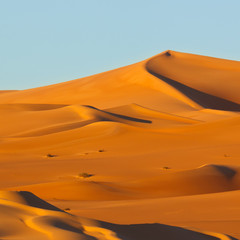 Dunes at Sunrise - Awbari Sand Sea, Sahara Desert, Libya